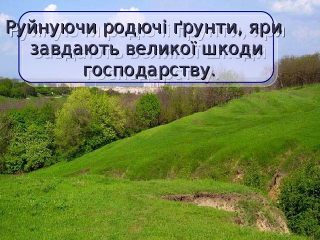 Руйнуючи родючі ґрунти, яри  завдають великої шкоди  господарству.  