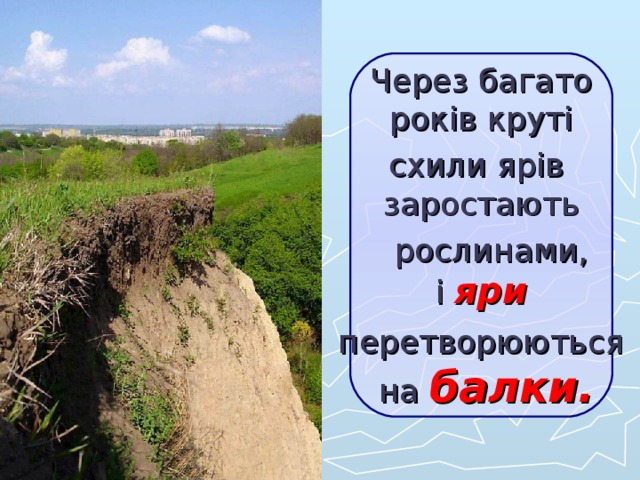 Через багато  років круті схили ярів  заростають  рослинами,  і яри  перетворюються  на балки.  