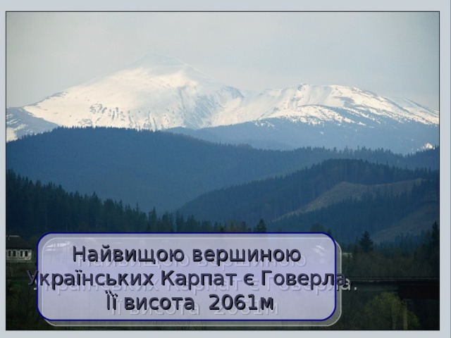Найвищою вершиною  Українських Карпат є Говерла.  Її висота 2061м  