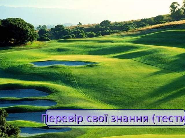 Перевір свої знання (тести)  
