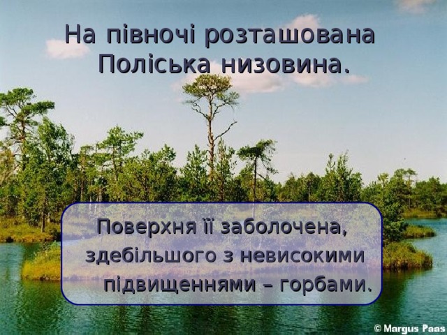 На півночі розташована  Поліська низовина.  Поверхня її заболочена,  здебільшого з невисокими  підвищеннями – горбами.  
