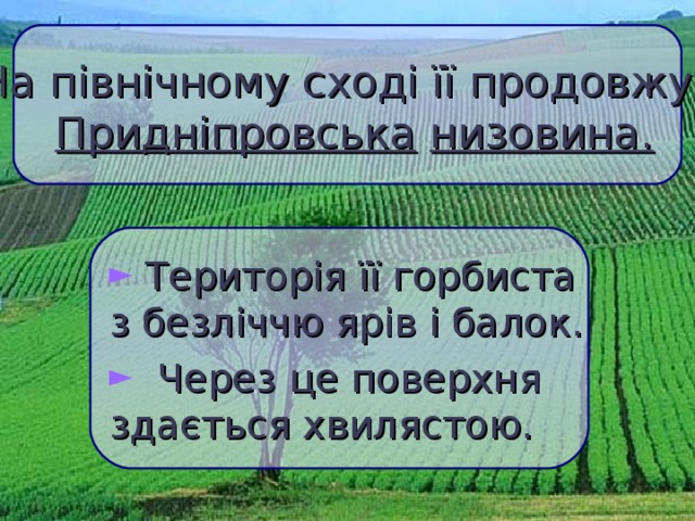 На північному сході її продовжує   Придніпровська  низовина.  Територія її горбиста  з безліччю ярів і балок.  Через це поверхня  здається хвилястою.  