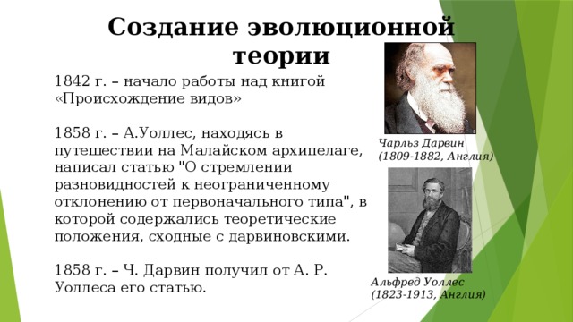 Создание эволюционной теории 1842 г. – начало работы над книгой «Происхождение видов» 1858 г. – А.Уоллес, находясь в путешествии на Малайском архипелаге, написал статью 