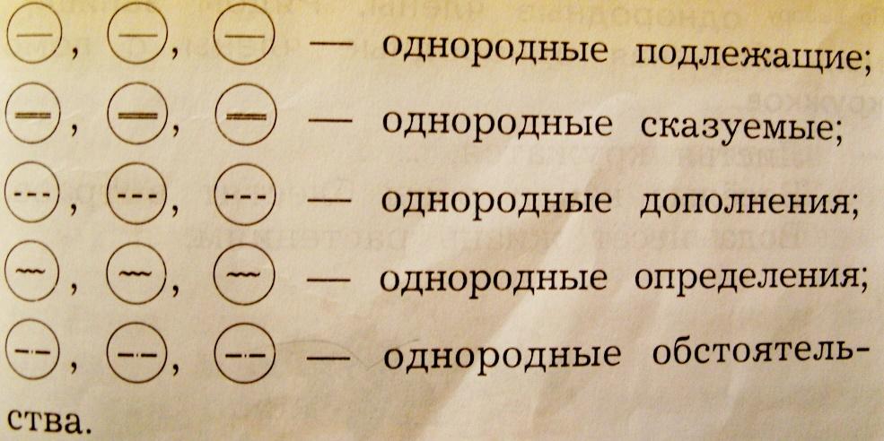 Найди предложение с однородными сказуемыми горы и леса на видела только на картинках