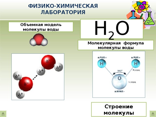 Состав молекулы