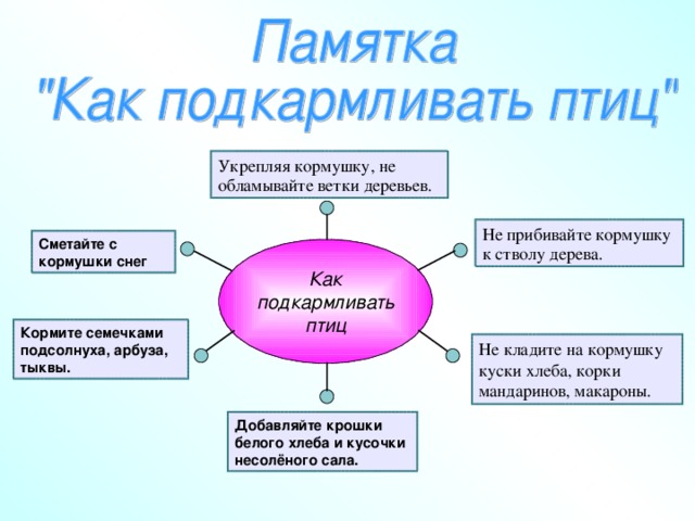 что страшней для птиц зимний холод или голод. Смотреть фото что страшней для птиц зимний холод или голод. Смотреть картинку что страшней для птиц зимний холод или голод. Картинка про что страшней для птиц зимний холод или голод. Фото что страшней для птиц зимний холод или голод