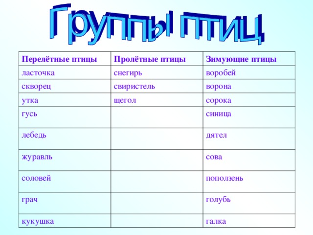что страшней для птиц зимний холод или голод. Смотреть фото что страшней для птиц зимний холод или голод. Смотреть картинку что страшней для птиц зимний холод или голод. Картинка про что страшней для птиц зимний холод или голод. Фото что страшней для птиц зимний холод или голод