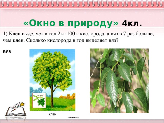 «Окно в природу» 4кл. 1) Клен выделяет в год 2кг 100 г кислорода, а вяз в 7 раз больше, чем клен. Сколько кислорода в год выделяет вяз?  ВЯЗ                 8 