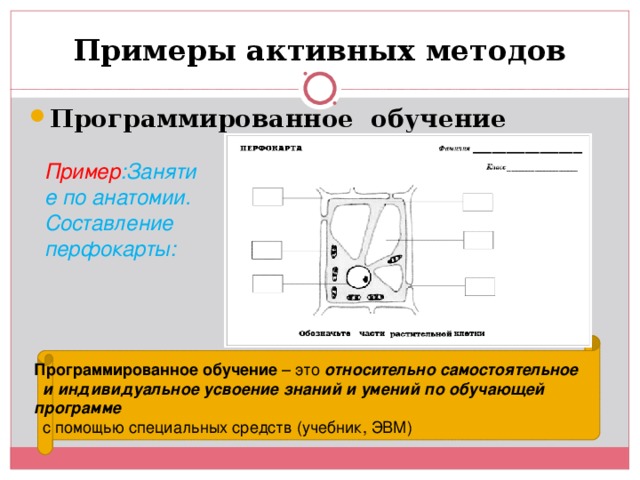 Обучающий пример