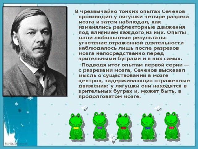 В чрезвычайно тонких опытах Сеченов производил у лягушки четыре разреза мозга и затем наблюдал, как изменялись рефлекторные движения под влиянием каждого из них. Опыты дали любопытные результаты: угнетение отраженной деятельности наблюдалось лишь после разрезов мозга непосредственно перед зрительными буграми и в них самих.      Подводя итог опытам первой серии — с разрезами мозга, Сеченов высказал мысль о существовании в мозге центров, задерживающих отраженные движения: у лягушки они находятся в зрительных буграх и, может быть, в продолговатом мозге. 