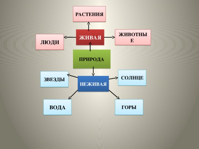 Вода живая или неживая