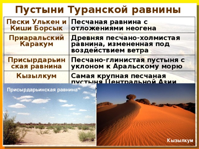 Туранская низменность