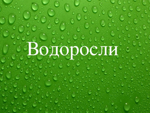 Водоросли