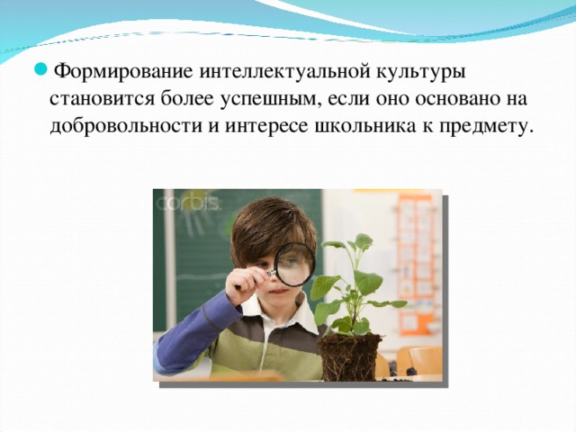 Формирование интеллектуальной культуры становится более успешным, если оно основано на добровольности и интересе школьника к предмету. 