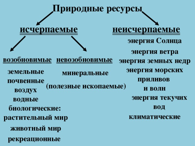 Природные ресурсы презентация 8 класс география пятунин