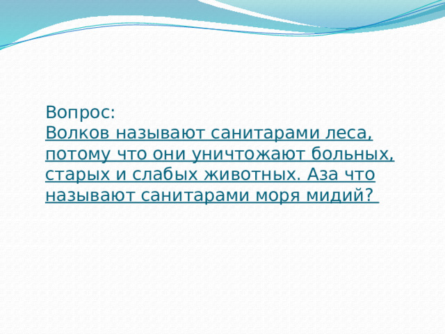 Вопрос:  Волков называют санитарами леса, потому что они уничтожают больных, старых и слабых животных. Аза что называют санитарами моря мидий ?    