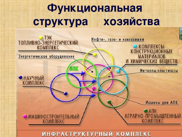 Функциональная  структура хозяйства 