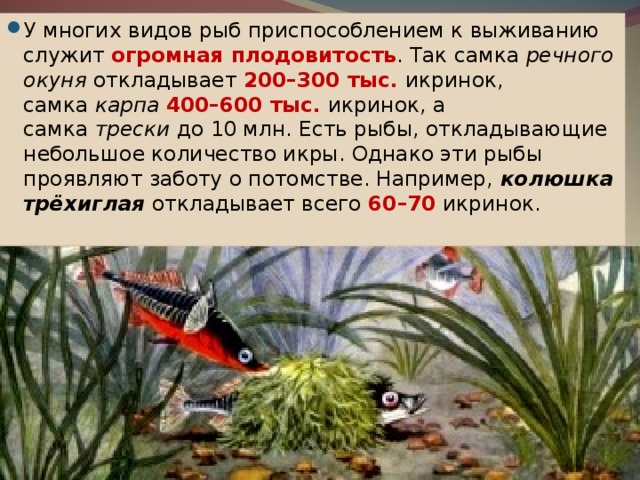 Защитные приспособления рыб проект