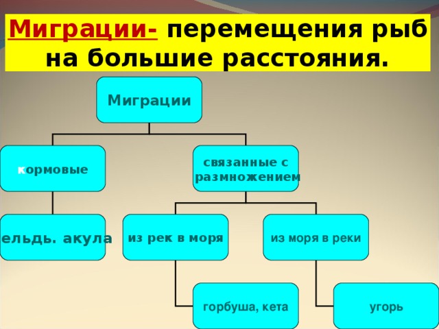 Размножение рыб презентация