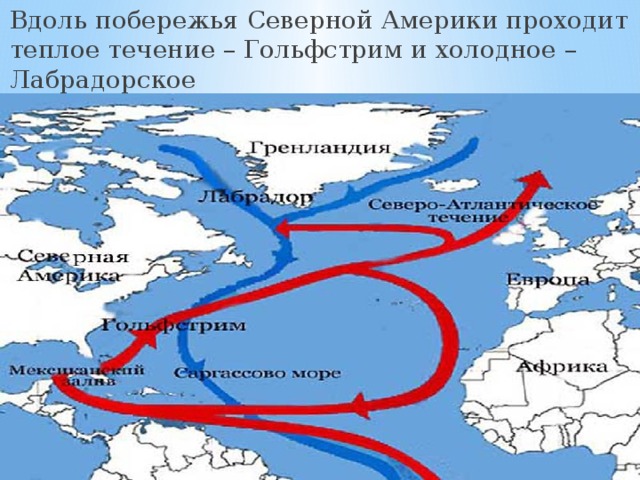 Отметьте все верные варианты ответа гольфстрима