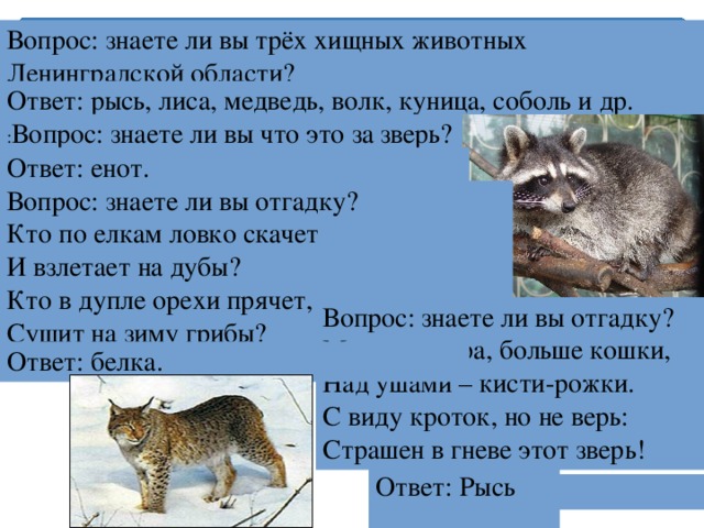 В тайге водятся хищные животные волки рыси медведи составить схему предложения