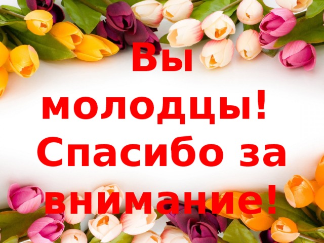 Вы молодцы!  Спасибо за внимание! 