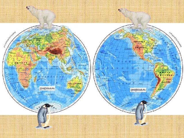 Все живут как карта. Где обитают белые медведи показать на карте. Где живут белые медведи и пингвины на карте. Белые медведи живут на карте. Где обитают пингвины на карте.