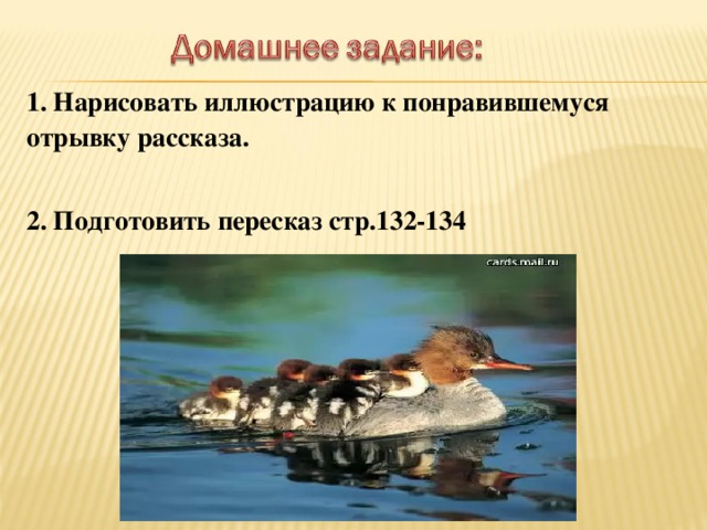 Утята план. Подготовить пересказ понравившегося отрывка. ДЗ стр 132 134 5 пунктов план ребята и утята 2 класс. Литературное чтение 2 кл стр 132-135 ребята и утята. С. 117-121, подготовить пересказ..