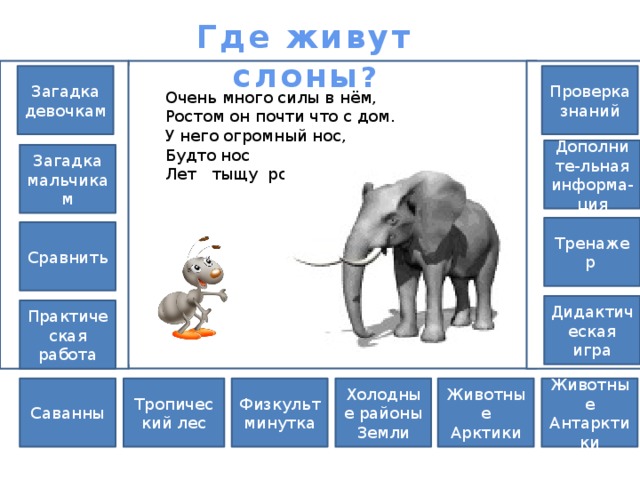 Где живут слоны 1 класс окружающий мир презентация