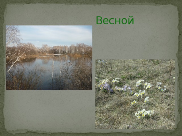  Весной 