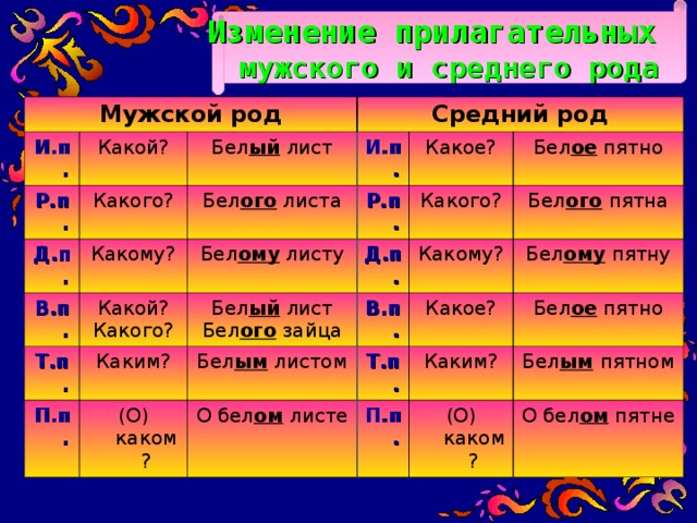 Мужские прилагательные. Прилагательное мужского и среднего рода.