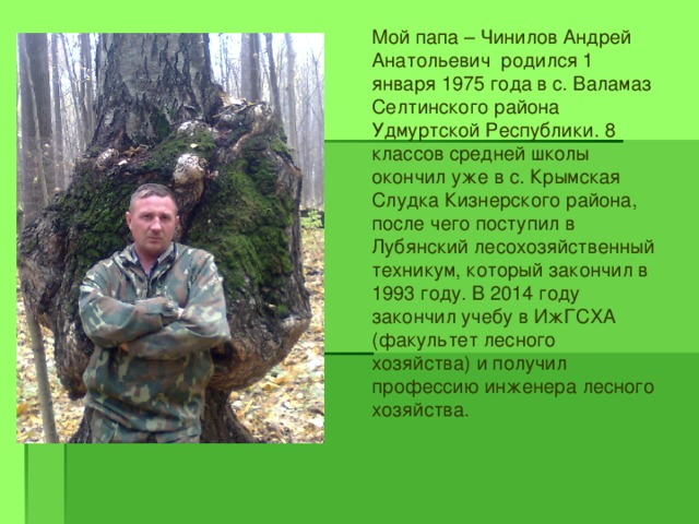 Мой папа – Чинилов Андрей Анатольевич родился 1 января 1975 года в с. Валамаз Селтинского района Удмуртской Республики. 8 классов средней школы окончил уже в с. Крымская Слудка Кизнерского района, после чего поступил в Лубянский лесохозяйственный техникум, который закончил в 1993 году. В 2014 году закончил учебу в ИжГСХА (факультет лесного хозяйства) и получил профессию инженера лесного хозяйства. 