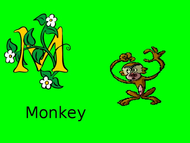 Monkey 