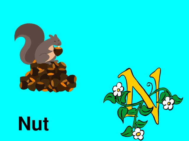 Nut 