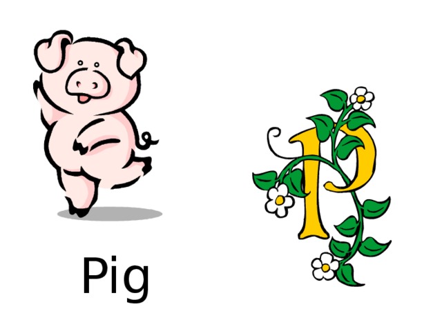 Pig 