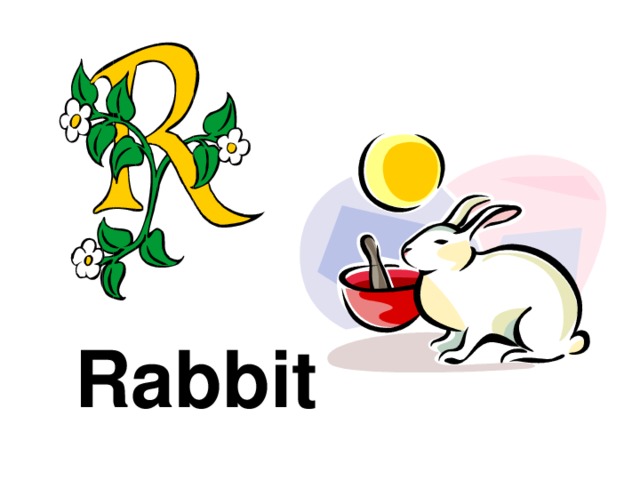 Rabbit 