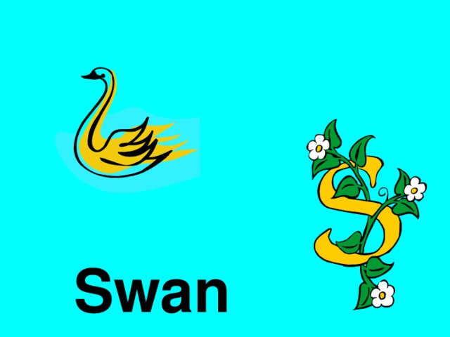 Swan 