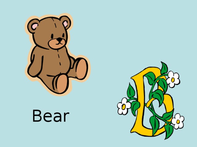 B ear 