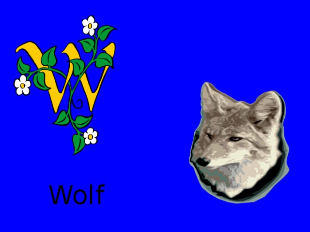 Wolf 