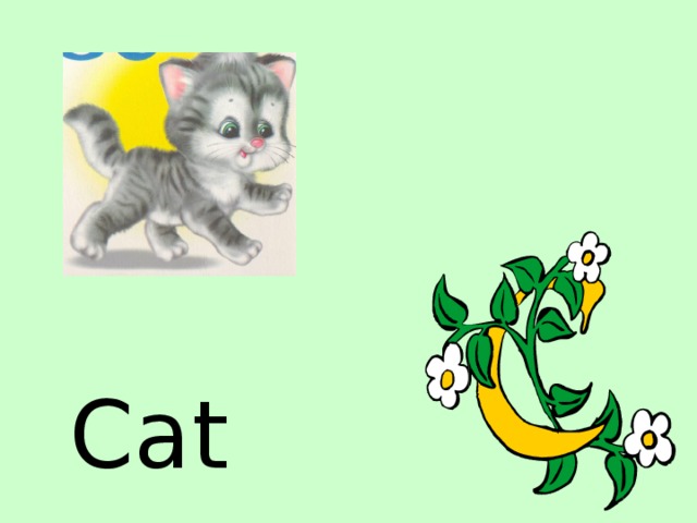 Cat 