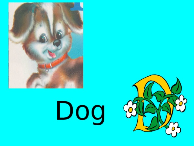 Dog 