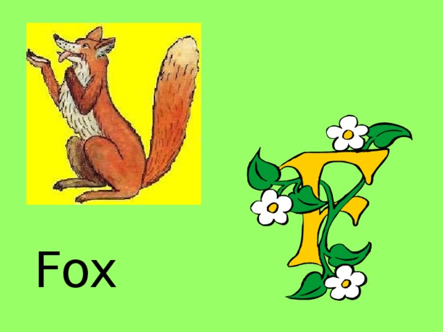Fox 