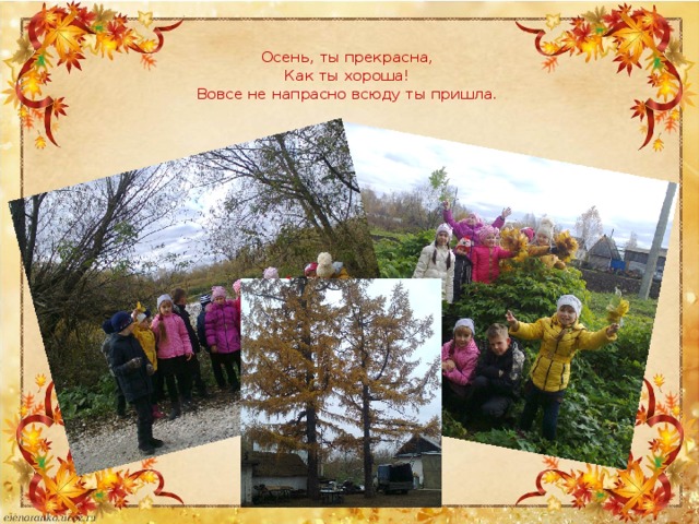 Осень, ты прекрасна,  Как ты хороша!  Вовсе не напрасно всюду ты пришла.   