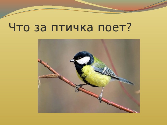 Что за птичка поет?