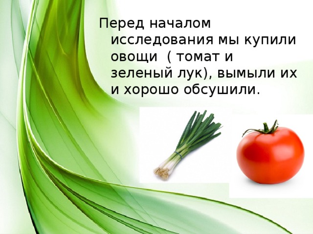 Перед началом исследования мы купили овощи ( томат и зеленый лук), вымыли их и хорошо обсушили. 