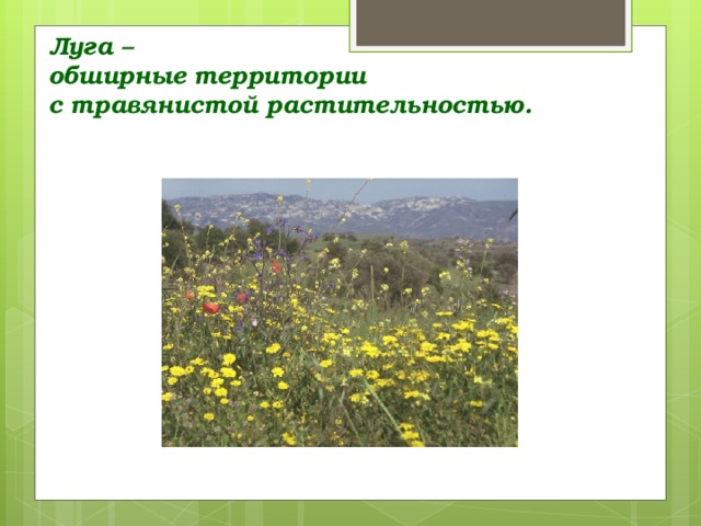 Луга –  обширные территории  с травянистой растительностью.