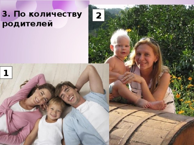 3. По количеству родителей 2 1