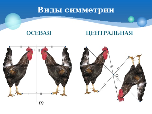 Виды симметрии ОСЕВАЯ ЦЕНТРАЛЬНАЯ О m 