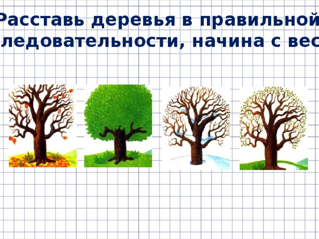 Расставь деревья в правильной последовательности, начина с весны . 