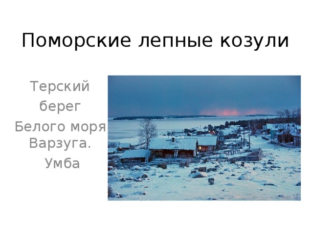 Поморские лепные козули Терский берег Белого моря. Варзуга. Умба 